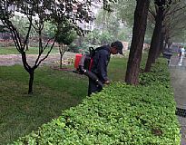 �T���F�����I2